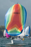 hot toddy 3199y whyw17 mon gjmc 6713